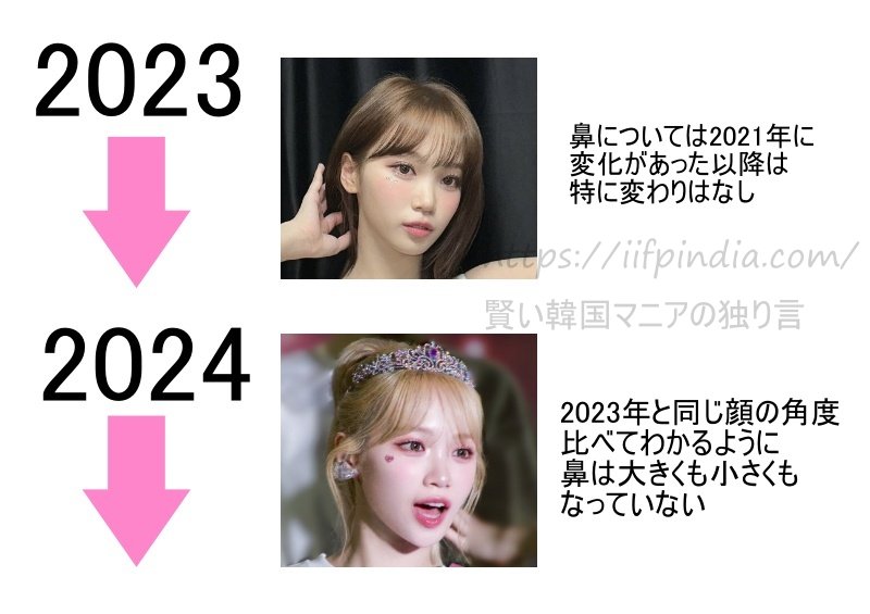 チェウォン2023から2024までの鼻の比較画像